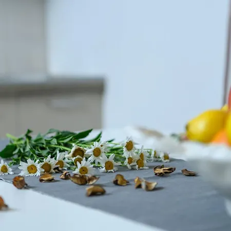 Wunderschoenes In Pomer Mit Garten