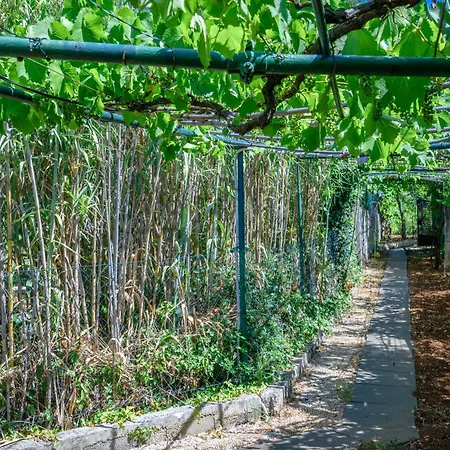 Wunderschoenes In Pomer Mit Garten Tatil Evi Pula